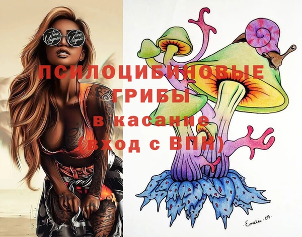 2c-b Болотное