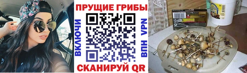 Галлюциногенные грибы мухоморы  МЕГА ССЫЛКА  Клин  наркота 